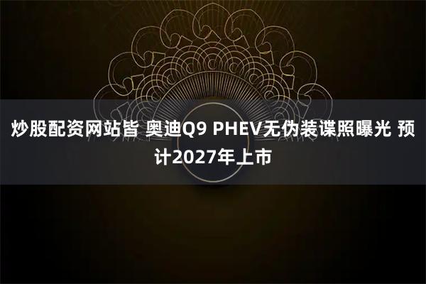 炒股配资网站皆 奥迪Q9 PHEV无伪装谍照曝光 预计2027年上市